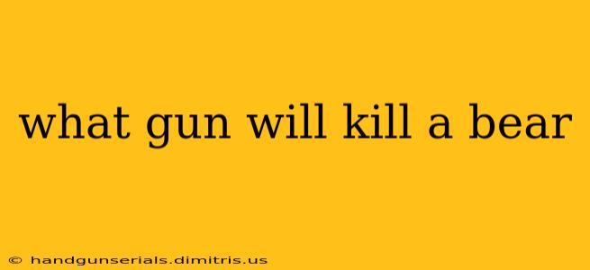 what gun will kill a bear