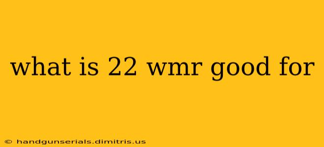 what is 22 wmr good for