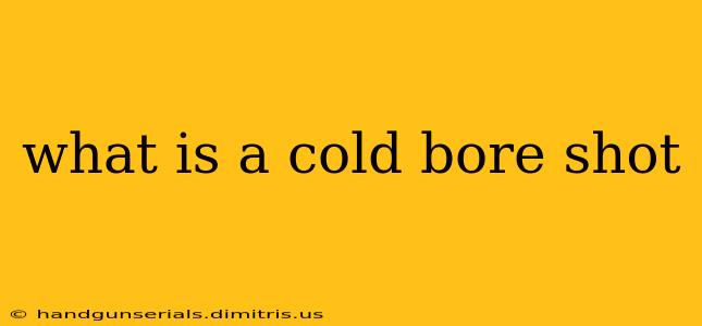 what is a cold bore shot