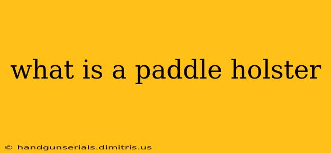 what is a paddle holster