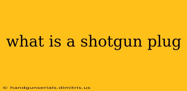 what is a shotgun plug