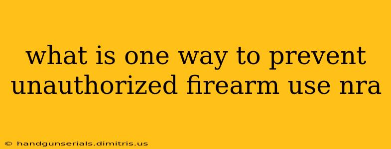 what is one way to prevent unauthorized firearm use nra