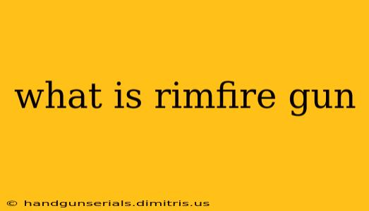 what is rimfire gun