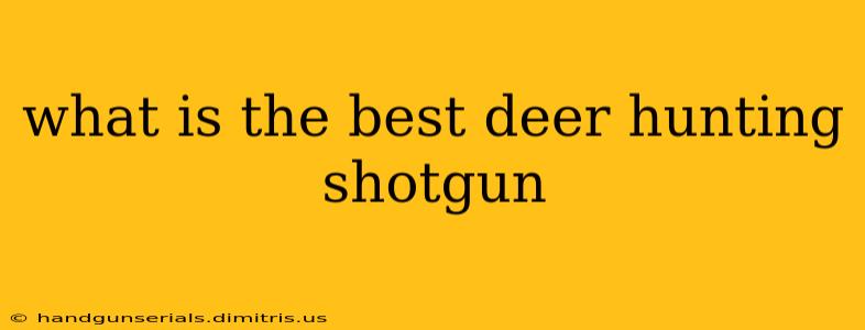 what is the best deer hunting shotgun