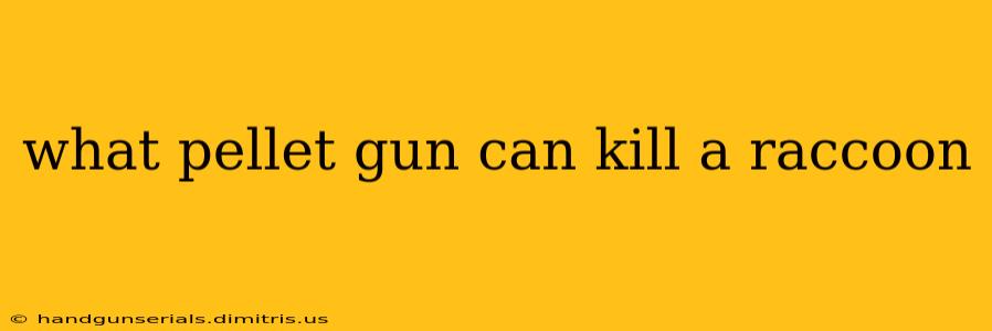 what pellet gun can kill a raccoon