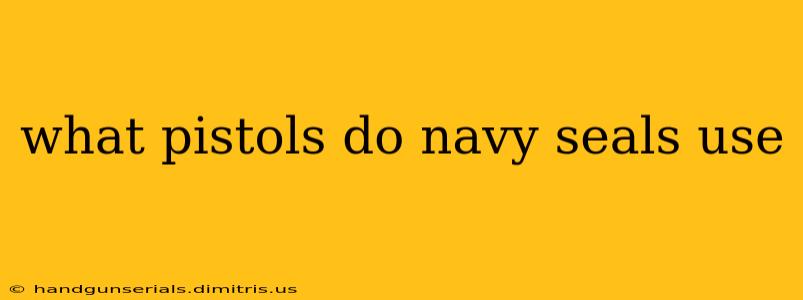 what pistols do navy seals use