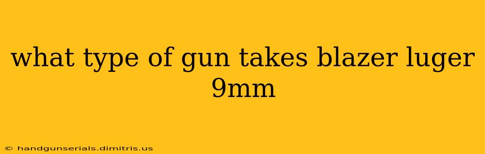 what type of gun takes blazer luger 9mm