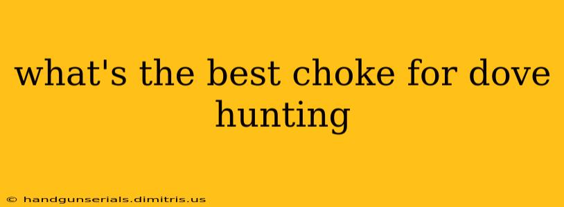 what's the best choke for dove hunting