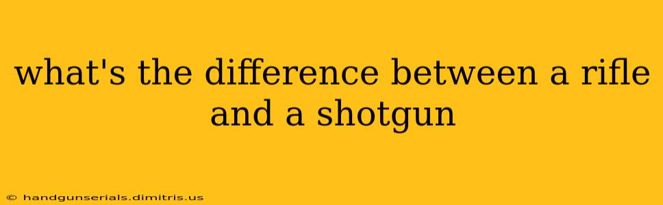 what's the difference between a rifle and a shotgun