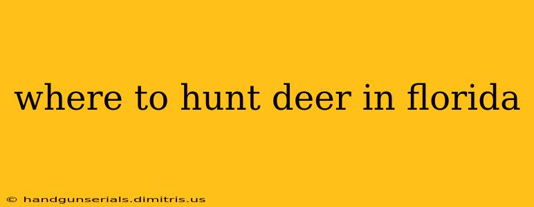 where to hunt deer in florida