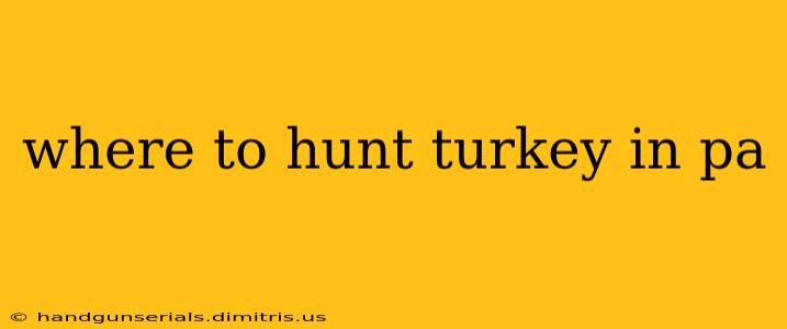 where to hunt turkey in pa