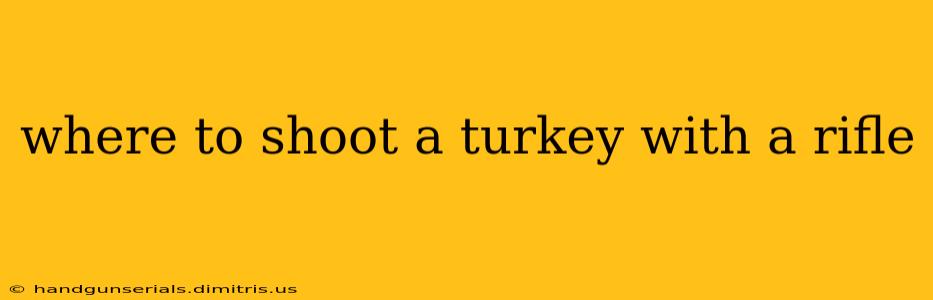 where to shoot a turkey with a rifle