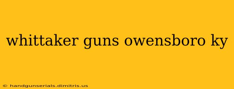 whittaker guns owensboro ky