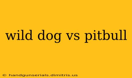 wild dog vs pitbull