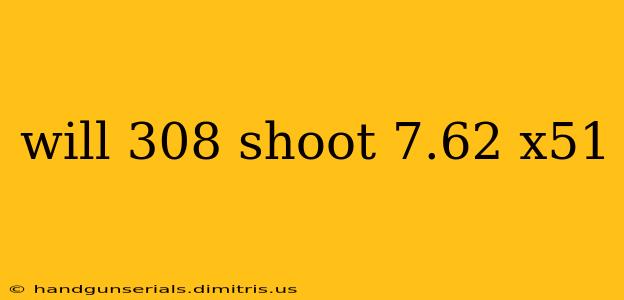 will 308 shoot 7.62 x51