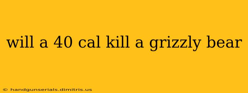 will a 40 cal kill a grizzly bear