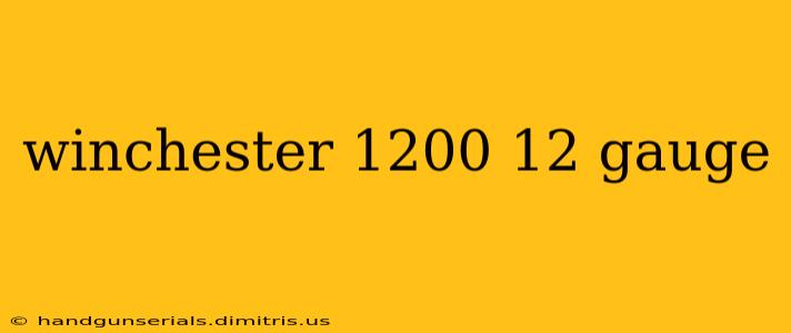 winchester 1200 12 gauge