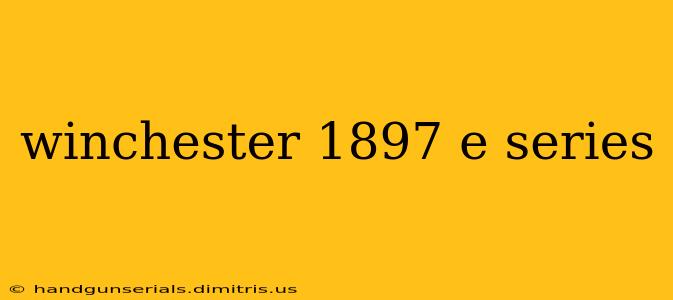 winchester 1897 e series