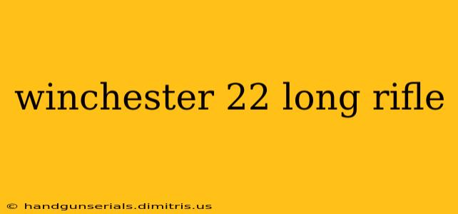 winchester 22 long rifle