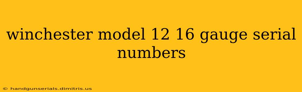 winchester model 12 16 gauge serial numbers