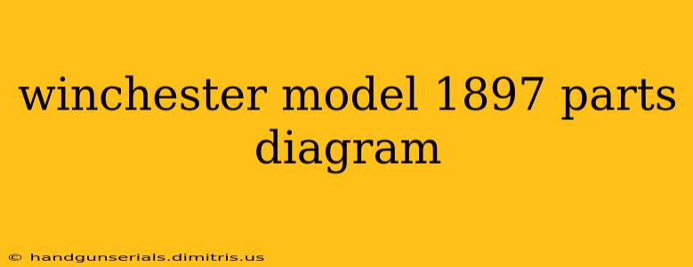 winchester model 1897 parts diagram