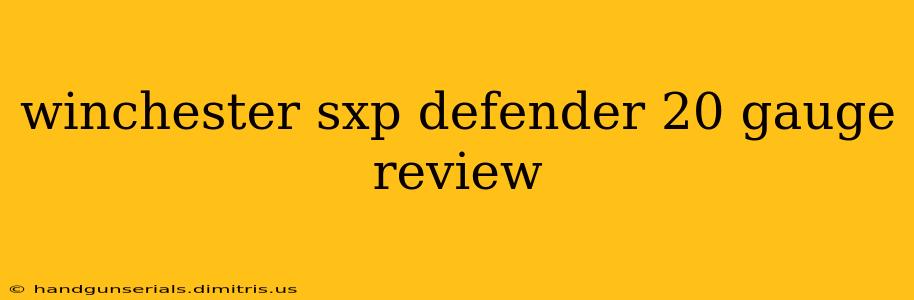 winchester sxp defender 20 gauge review