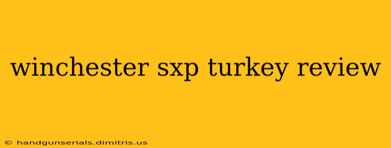 winchester sxp turkey review